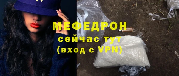 сатива Новодвинск