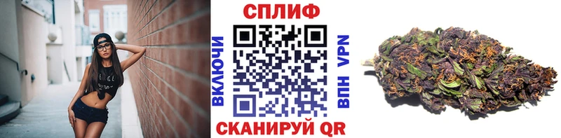 Каннабис тримм  как найти   omg зеркало  Санкт-Петербург 